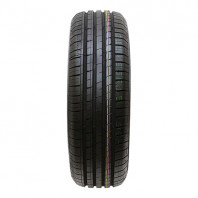 MINERVA F209 205/50R15 89V XL