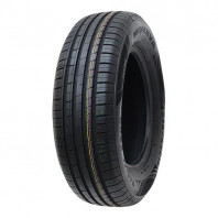 MINERVA F209 205/50R15 89V XL